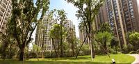 招商依云上城实景图招商雍华府2、3期