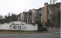 瑞升橄榄山效果图效果图