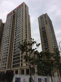 泰悦湾实景图6.9