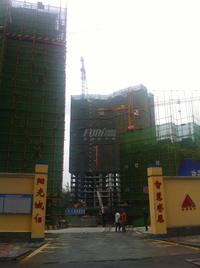 华侨凤凰国际城2期实景图6-18