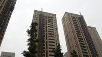 保利康桥实景图工程进度
