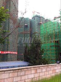美洲花园实景图工程进度