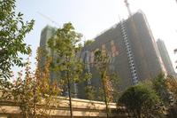锦城南府实景图2013-11-27