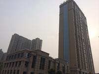 天合凯旋南城实景图工程进展