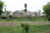 天邑宏御花园实景图实景图