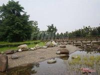 栖湖铭座公寓实景图公园