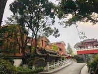 杜鹃城千万间2期实景图杜鹃城千万间B区可居园