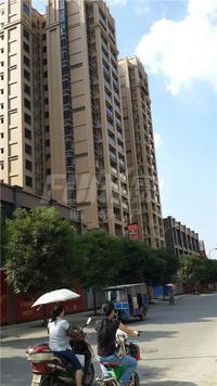 仙湖公馆实景图6-27