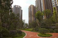 招商依云上城实景图招商雍华府2、3期