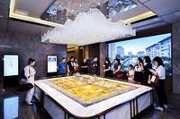 中建锦澜壹号府1期活动图活动图