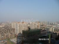 海伦国际实景图高层实景