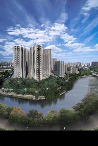 龙门镇实景图楼王藏珑