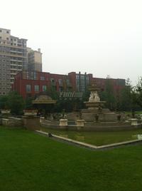 剑桥小镇2期实景图2014-5-9