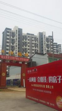 瑞云空中1号实景图6-19