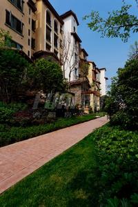 钱江凤凰城(青白江)实景图实景