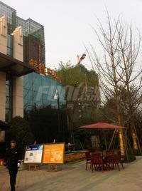 蓝光金双楠实景图工程进度