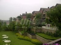 龙湖悠山郡实景图2014-5-14