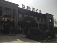保利西子城实景图项目实景图