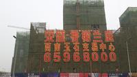 香榭兰庭实景图工程进度