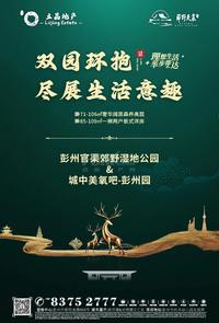 郊野天宸小区1期活动图双园环抱