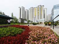 都城雅颂居实景图实景