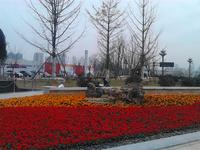 雄飞北尚广场实景图实景图