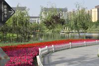 海骏达蜀都1号凯悦配套图公园美景