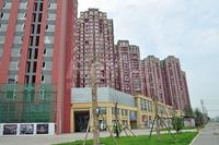 中房学府海棠实景图2014-7-1
