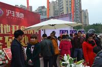 和信沪丰领地活动图11月28日开盘活动