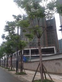 炜岸城实景图2014-6-13