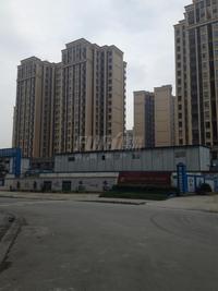 保利梧桐语实景图2014-6-11