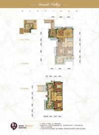 花样年大溪谷户型图012.jpg