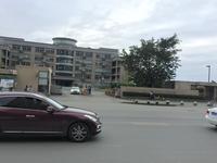 朗诗未来家1期配套图银杏学院