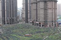洲际银海湾实景图中庭实景图