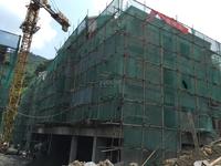 翠锦西岭1期实景图4栋