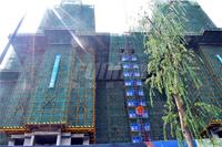 保利锦湖林语实景图2014-8-6