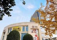 都江堰市精文国际商业广场1期实景图实景图