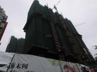 歌德堡国际现代城实景图施工现场