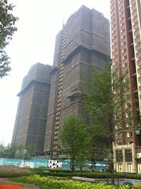 合能珍宝琥珀实景图2014.5.13