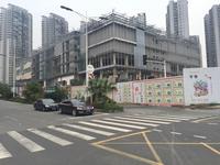 卓锦城6期紫红双郡实景图卓锦曼购中心商业