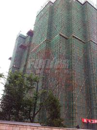 美洲花园实景图工程进度