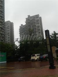 乐斯霏红榭2期实景图6-13