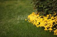 华邑阳光里实景图阳光那不勒斯