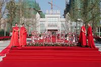 香楠国际1期活动图活动图
