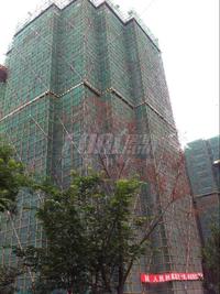 美洲花园实景图工程进度