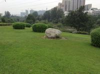 沙河名仕公馆配套图沙河公园一角