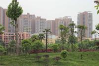 天邑宏御花园实景图实景图