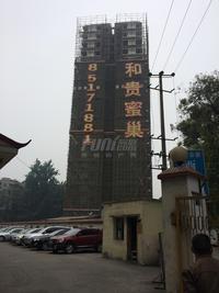 和贵蜜巢实景图2014-5-14