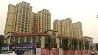 蜀青·丽晶府1期实景图蜀青丽晶府项目实景图