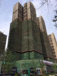 桐梓林壹号1期实景图6-4